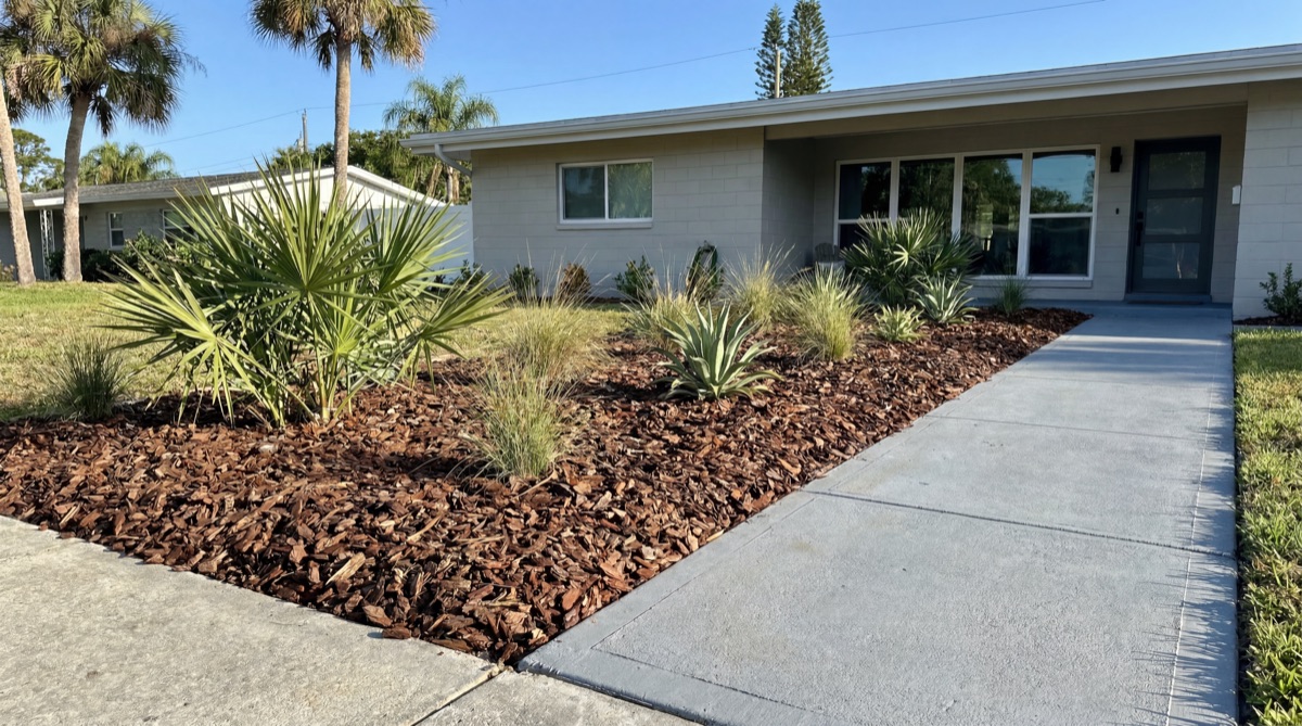Mulch installation with fan palms along walkway in Central Florida