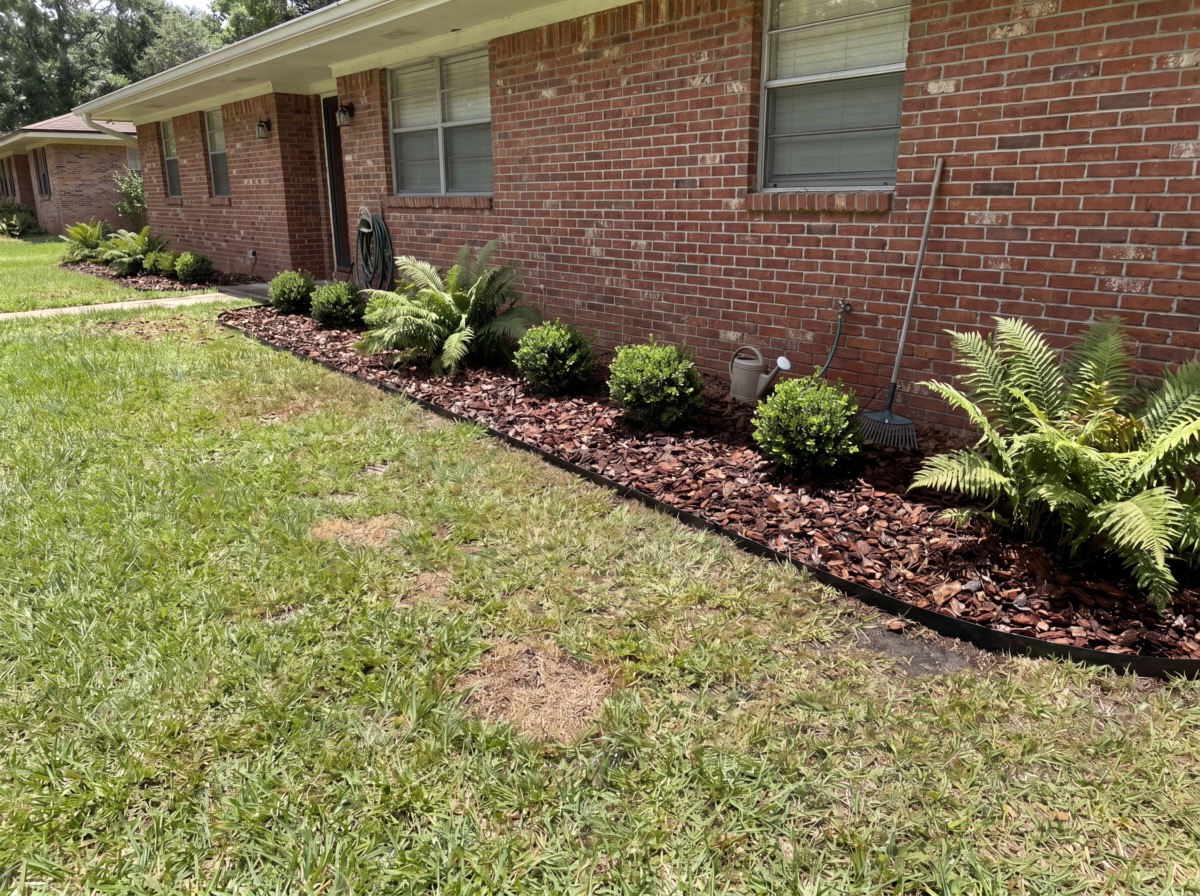 Mulch bed with ferns along brick home foundation in Orlando