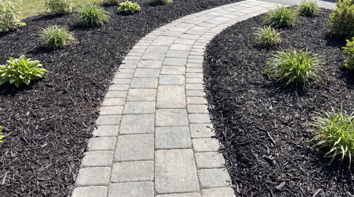 Dark mulch along paver pathway with ornamental plants in Winter Park