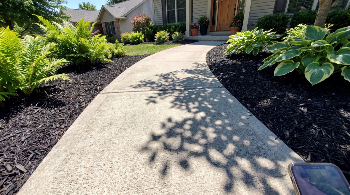 Fresh mulch walkway beds with ferns and hostas in Central Florida home